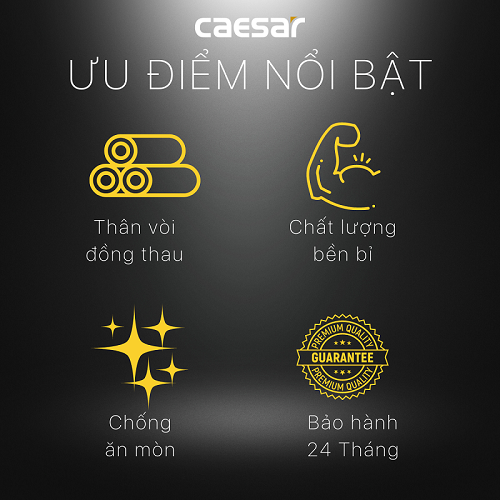 Van Khống Chế Xi CAESAR BF403 (Ø21), háng chính, giá rẻ