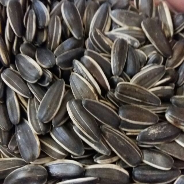 1 KG CHÀ LÀ IRAN SẤY DẺO KO ĐƯỜNG