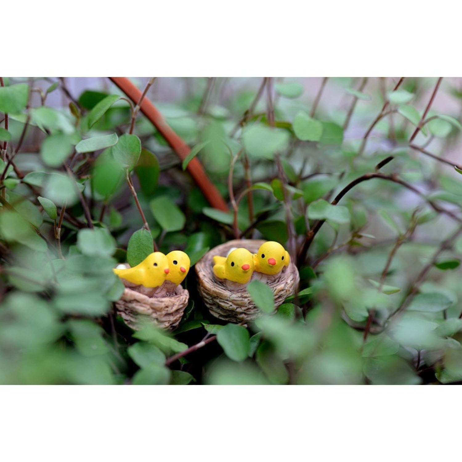 Tổ chim mini trang trí tiểu cảnh, sen đá, terrarium