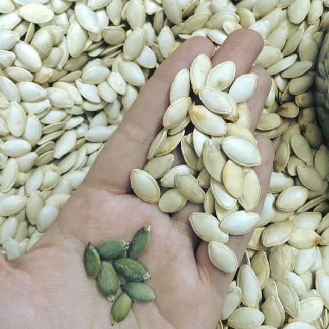500G HẠT BÍ GIA LONG LOẠI 1
