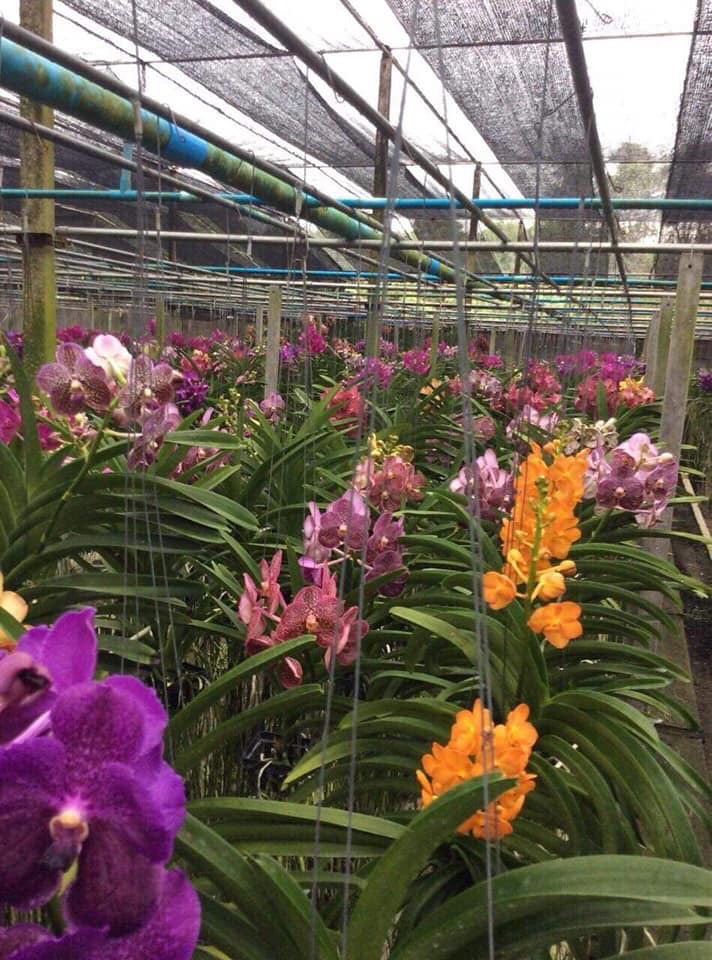 Lưới che nắng đài loan 3m x 6m