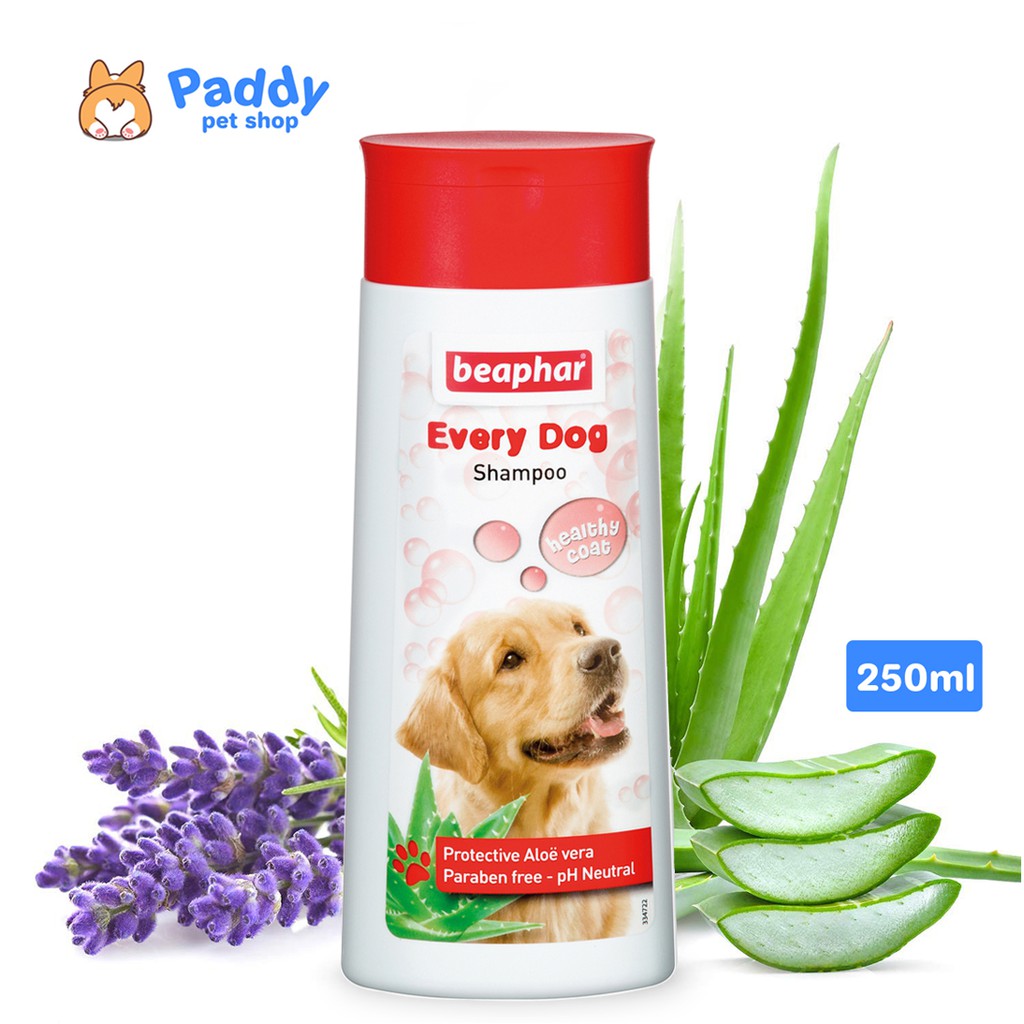 Sữa Tắm Cho Chó Beaphar Every Dog Healthy Coat (Nhập khẩu từ Hà Lan)