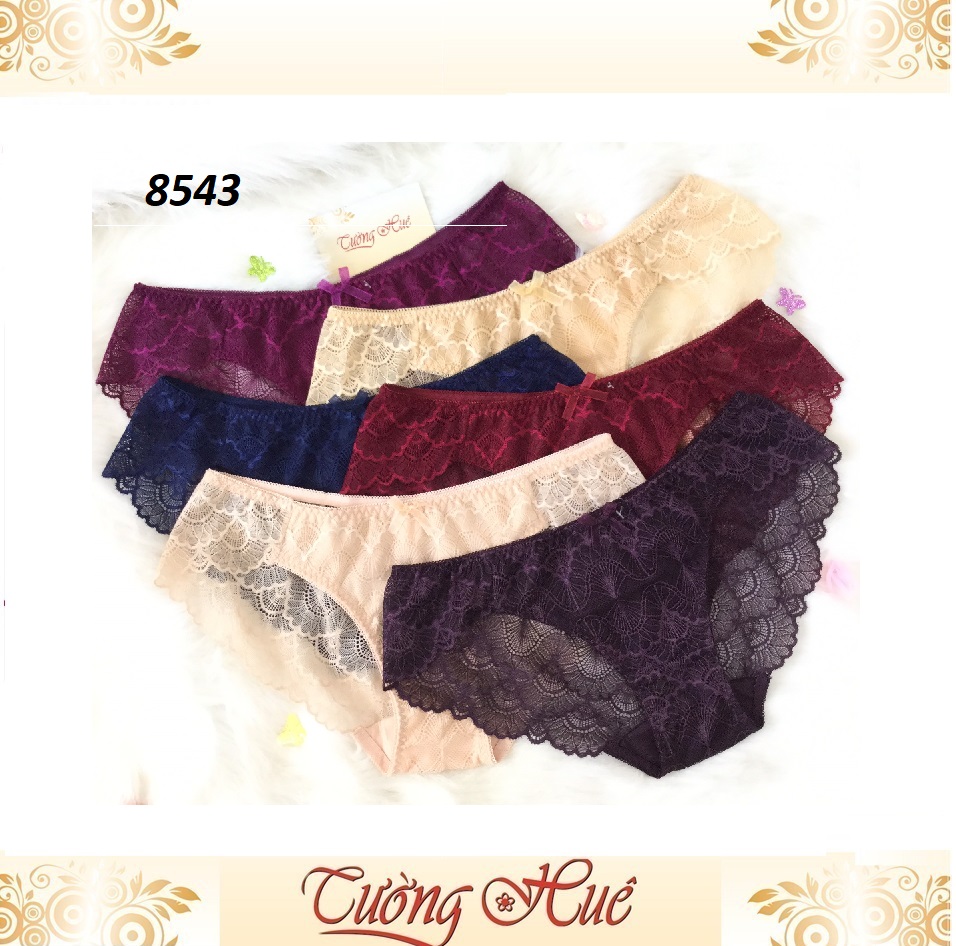 [HCM]Quần lót nữ Annie QE8543 ren.