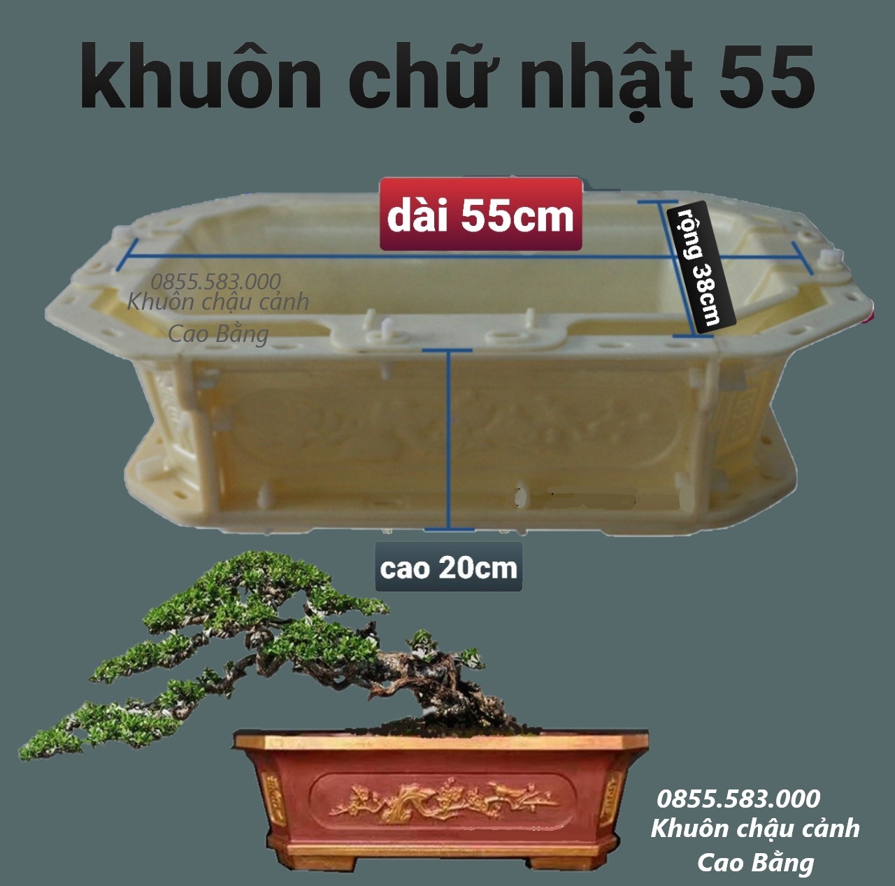 khuôn đúc chậu cảnh chữ nhật 55 (khuôn chậu ABS có lòng trong)