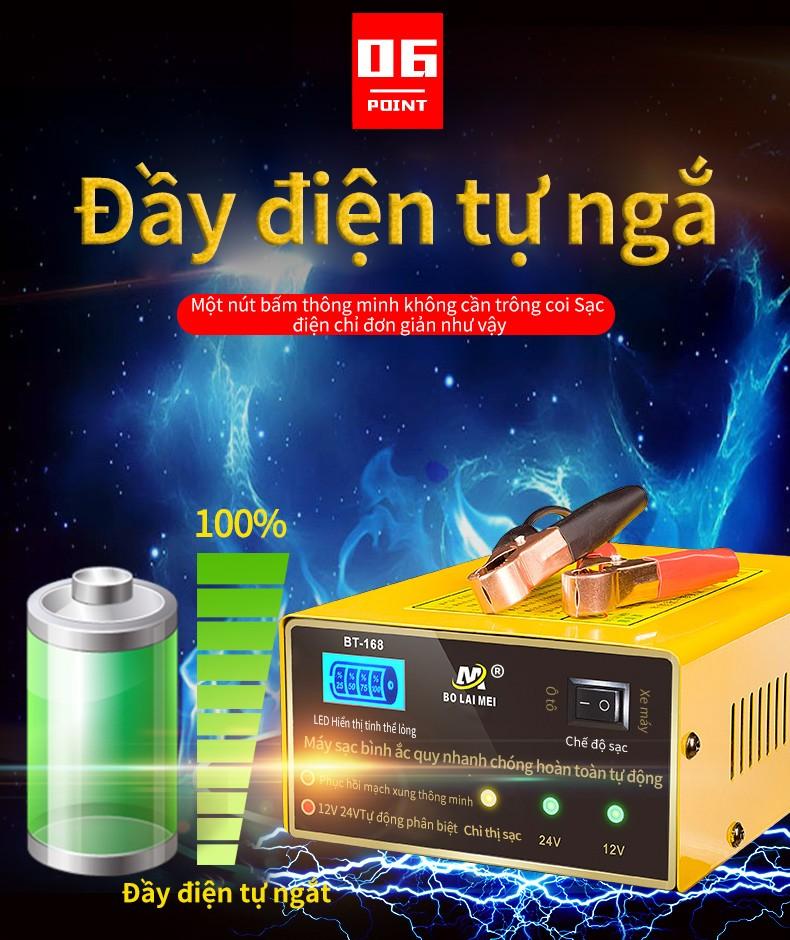 Ắc quy sạc tự động xung đồng 12v 24v