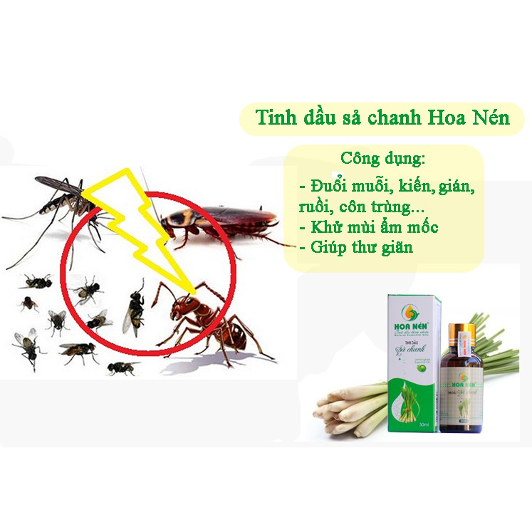 [Mã HOANEN20 giảm 20K] Tinh dầu sả chanh 10ml - Hoa Nén
