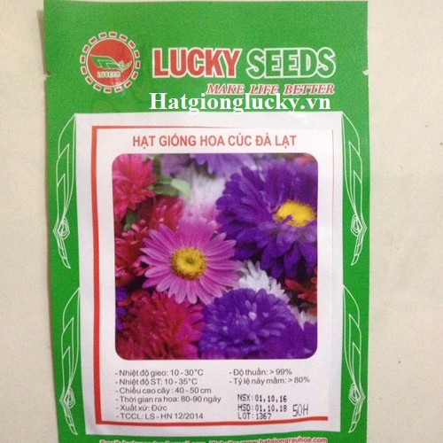 Hạt giống hoa Cúc Đà Lạt mix