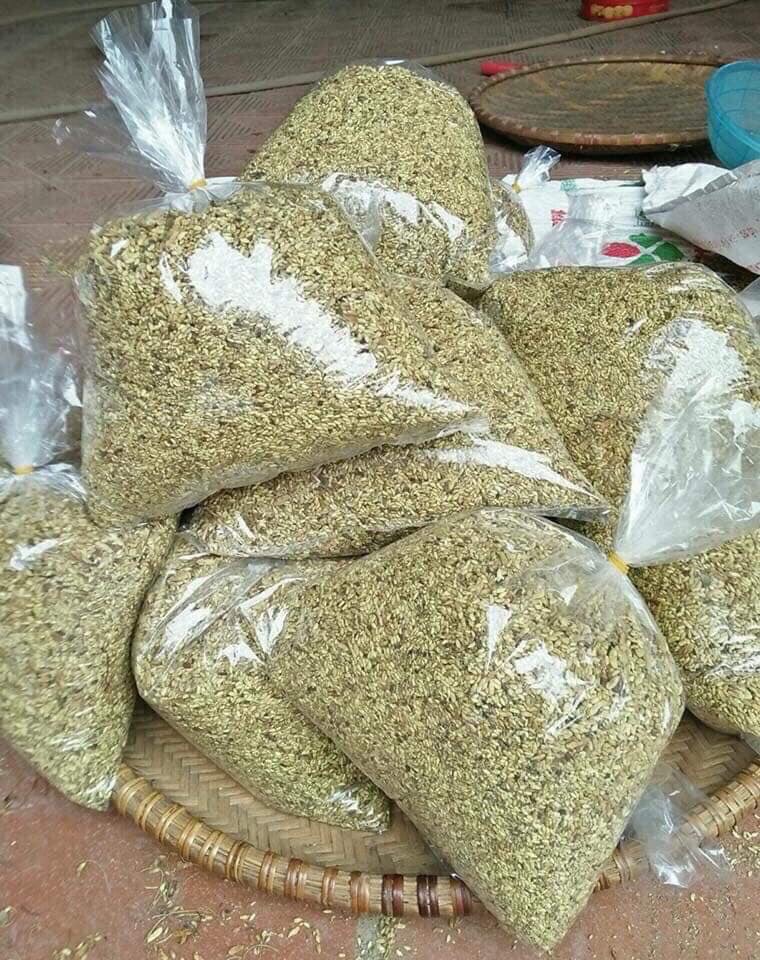 Nụ hoa hòe khô gói 500g thơm ngon
