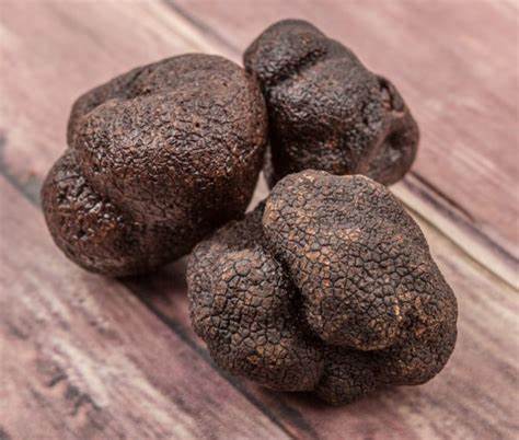 TRUFFLE & MUSHROOM TAPENADE TRUFFLE HILL