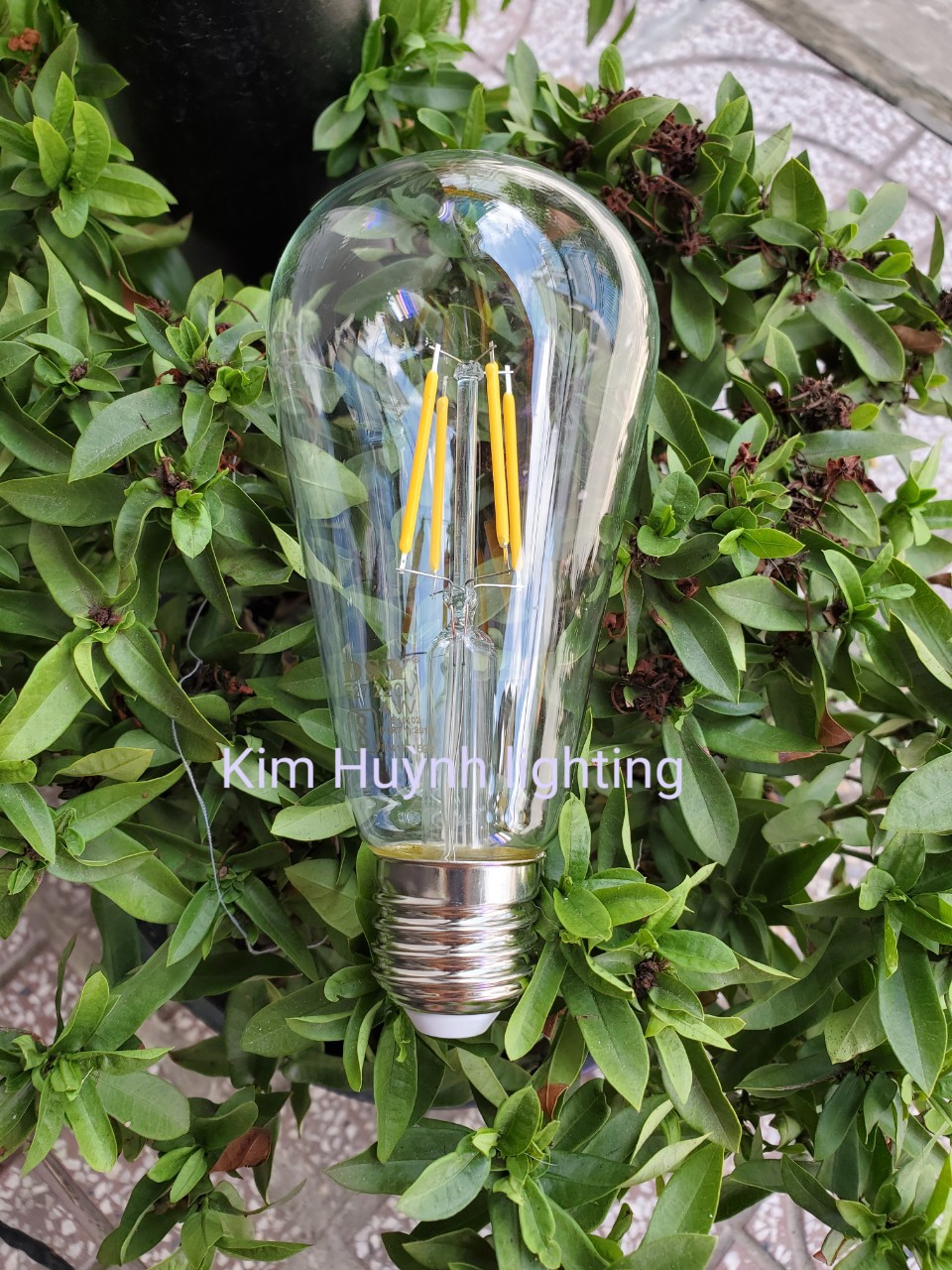 [HCM]BÓNG LED EDISON ST64 4W