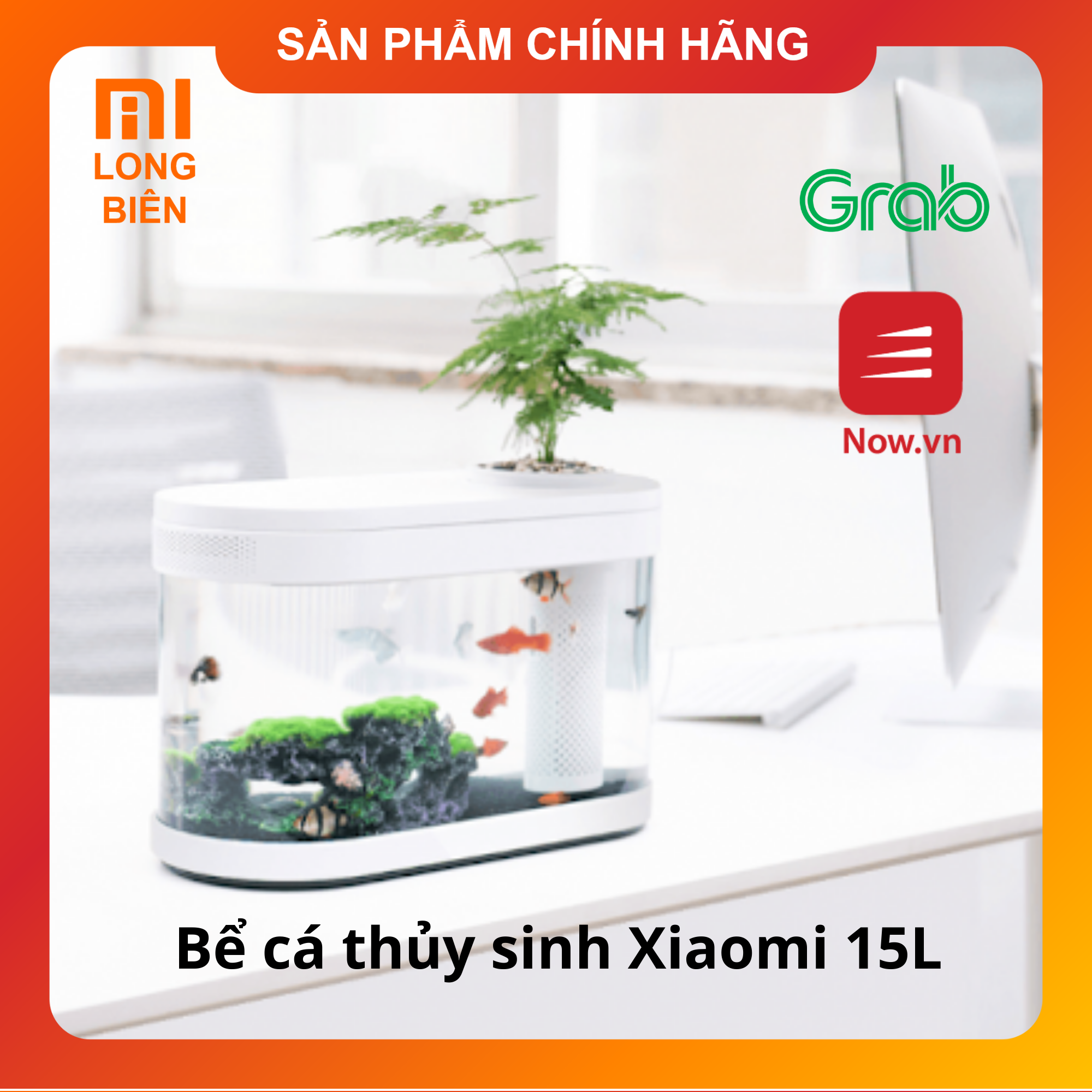 Bể cá thủy sinh Xiaomi