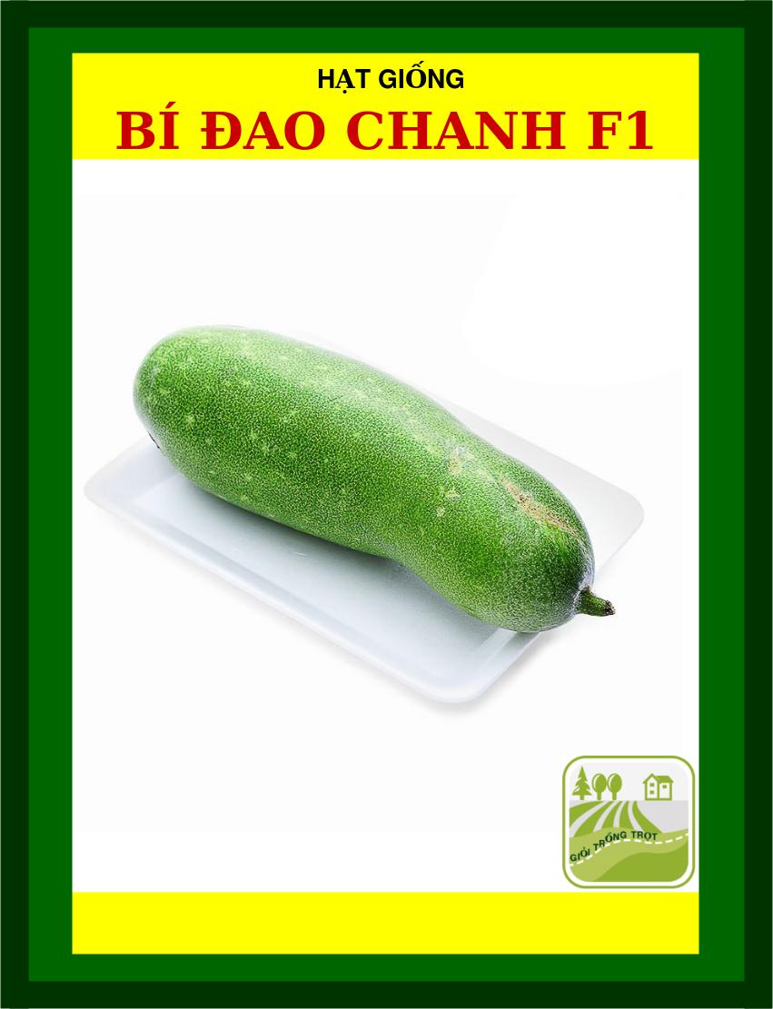 Hạt Giống Bí Đao Chanh F1 20 Hạt