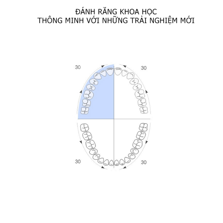 Đầu bàn chải đánh răng điện Philips HX6011