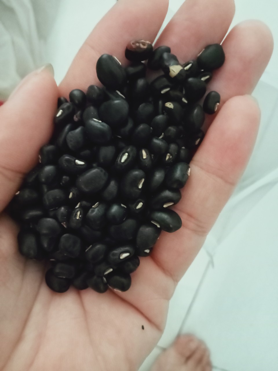 Đậu đen xanh lòng rang sẵn bịch 500gr,1kg