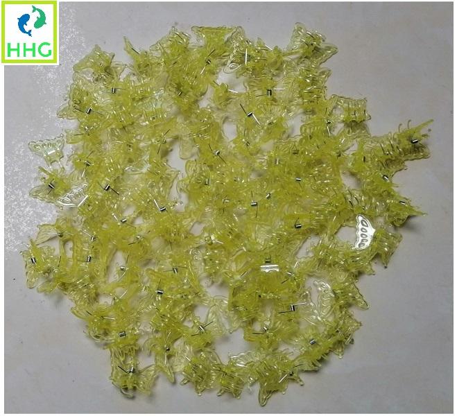 TÚI 100 KẸP BƯỚM TRỒNG LAN SIÊU ĐẸP (LOẠI MÀU VÀNG)