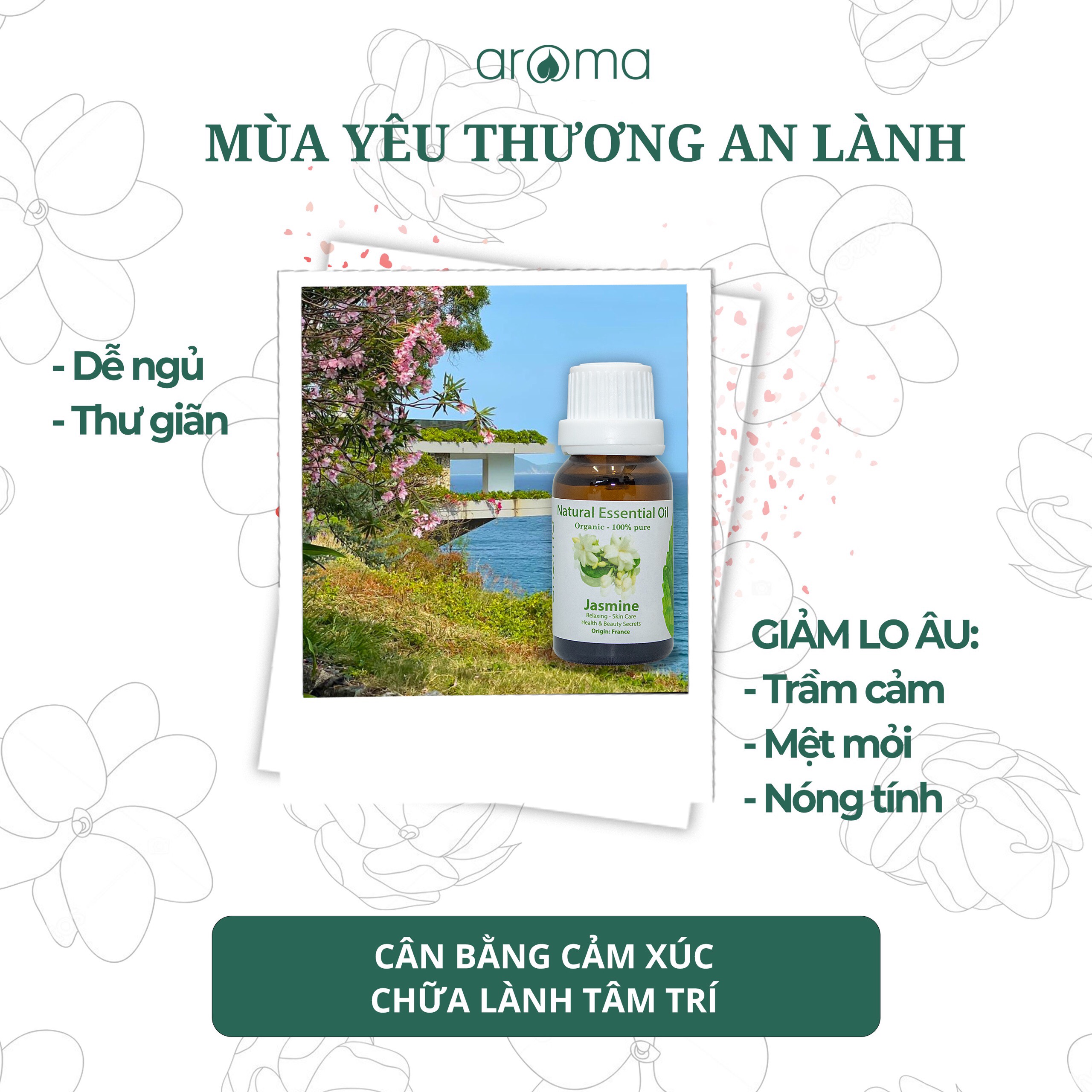 Hương trái cây Aroma Dứa thơm - 10ml/30ml