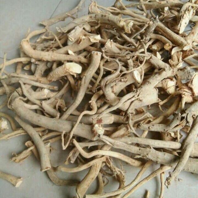 Rễ Đinh Lăng Nếp Khô 500gr