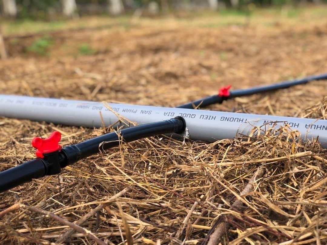 COMBO 10 Van khóa ống LDPE 25mm