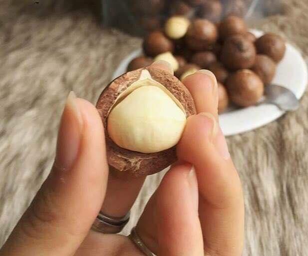 Nhân Hạt Macca Úc Vũ Phát (100g)