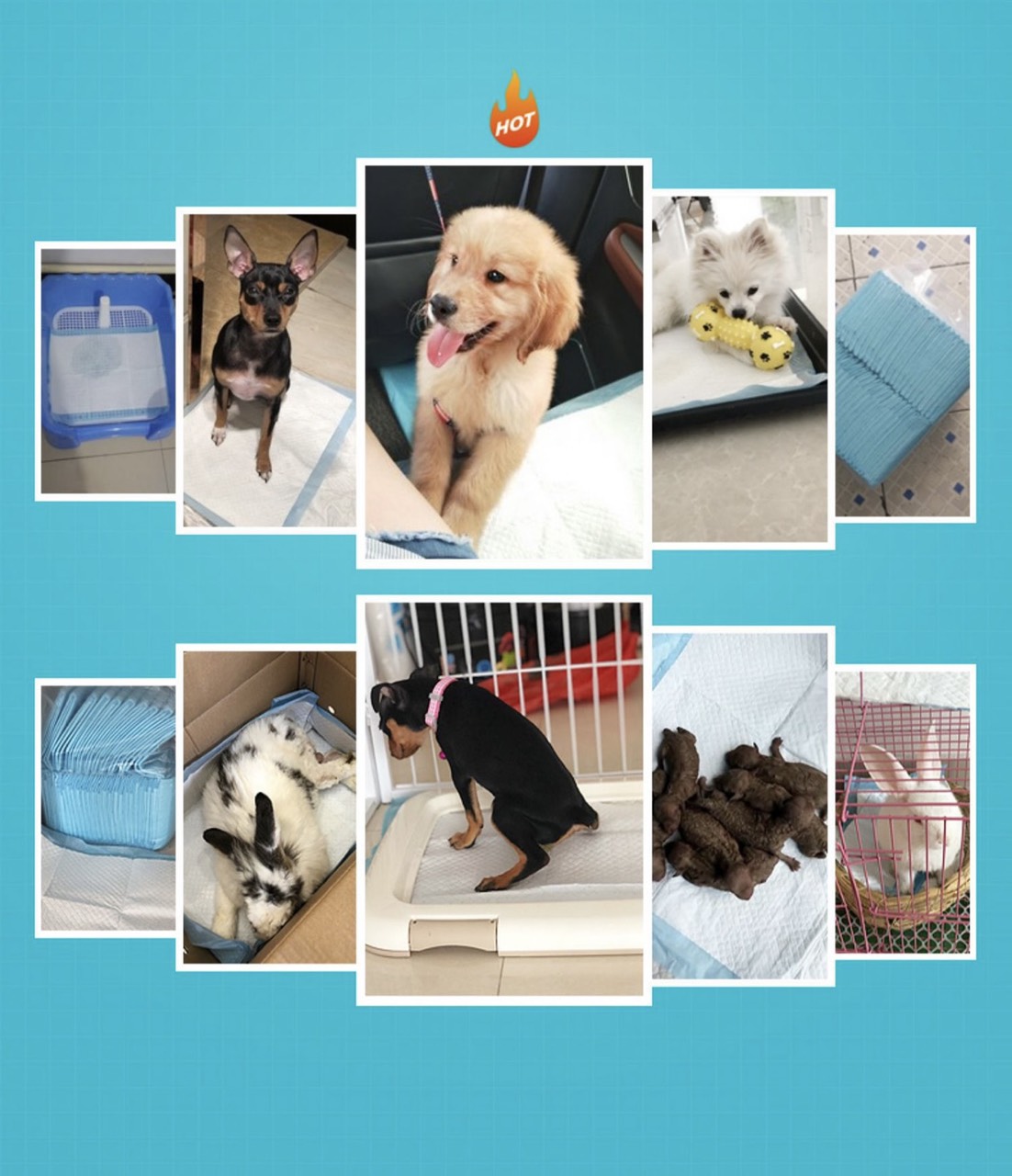 Giấy tã lót vệ sinh cho thú cưng cao cấp