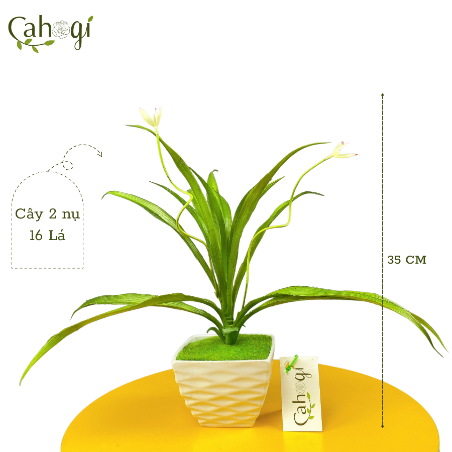 Cây Giả Cây Lan Chi 2 Nụ