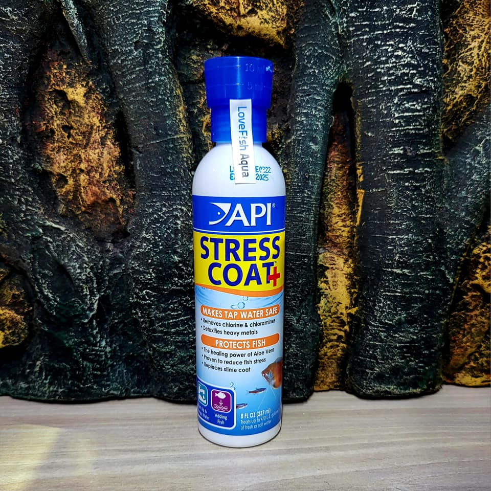 API - Stress Coat - Khử độc nước, tạo nhờn, giảm stress cho cá