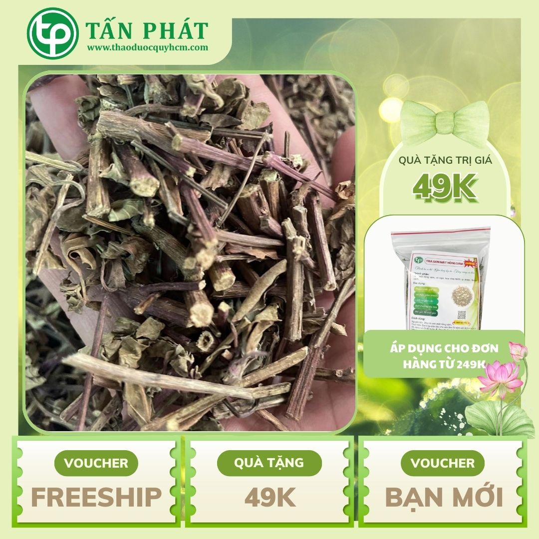 Cây râu mèo khô túi lơn loại 500gram - Hàng công ty với chất lượng cao cùng mức giá tốt nhất - Trà thơm tốt cho sức khỏe - Thảo Dược Tấn Phát