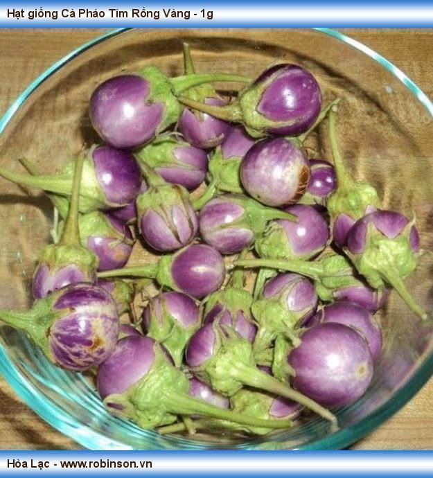 Hạt Giống Cà Pháo Tím - Gói 0.5 gram
