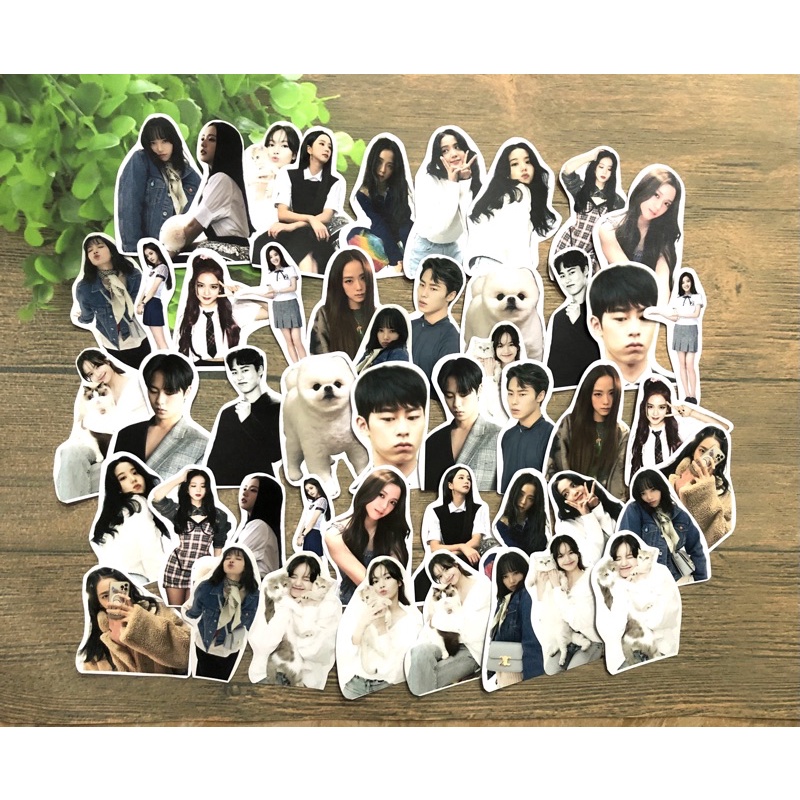 Sticker in hình theo yêu cầu (1 set 16 hình) ảnh dán in hình theo yêu cầu