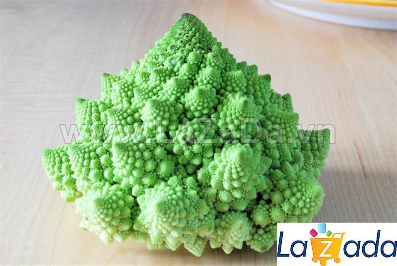 2GR 600.HẠT Hạt Giống Súp Lơ San Hô (| C10*W55)