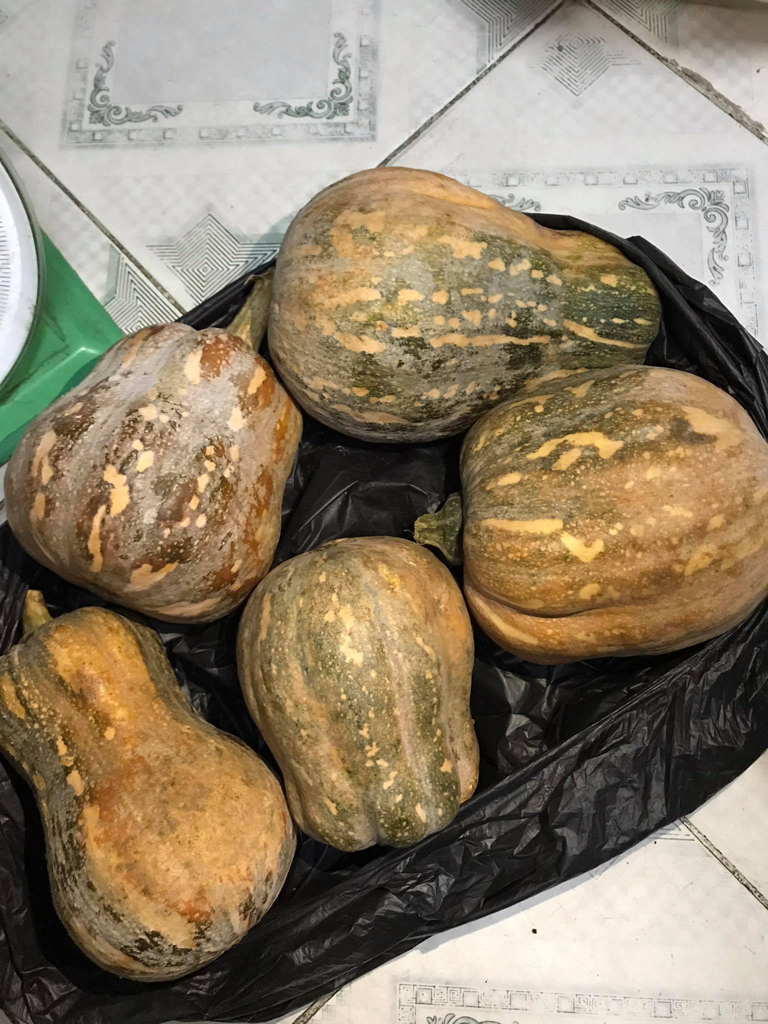 [HCM]B&iacute Hồ L&ocirc