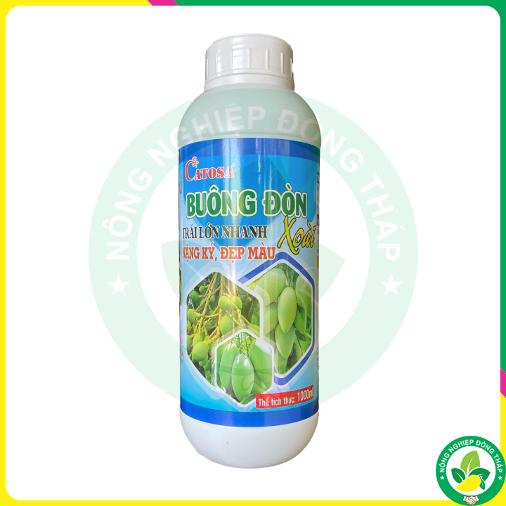 Phân bón vl group bo canxi – buông đòn xoài – trái lớn nhanh, nặng ký, đẹp màu