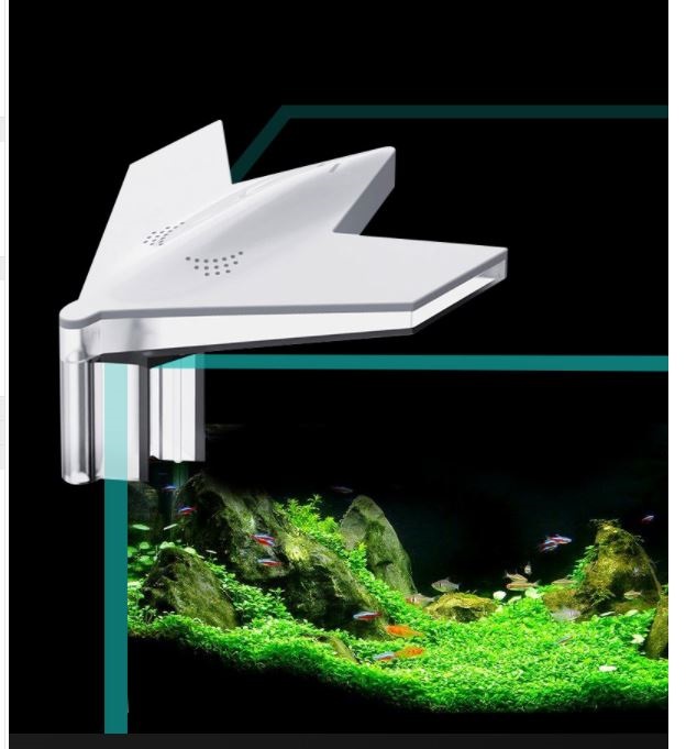 Đèn kẹp mini cánh hoa cho bể cá nhỏ, bể tròn
