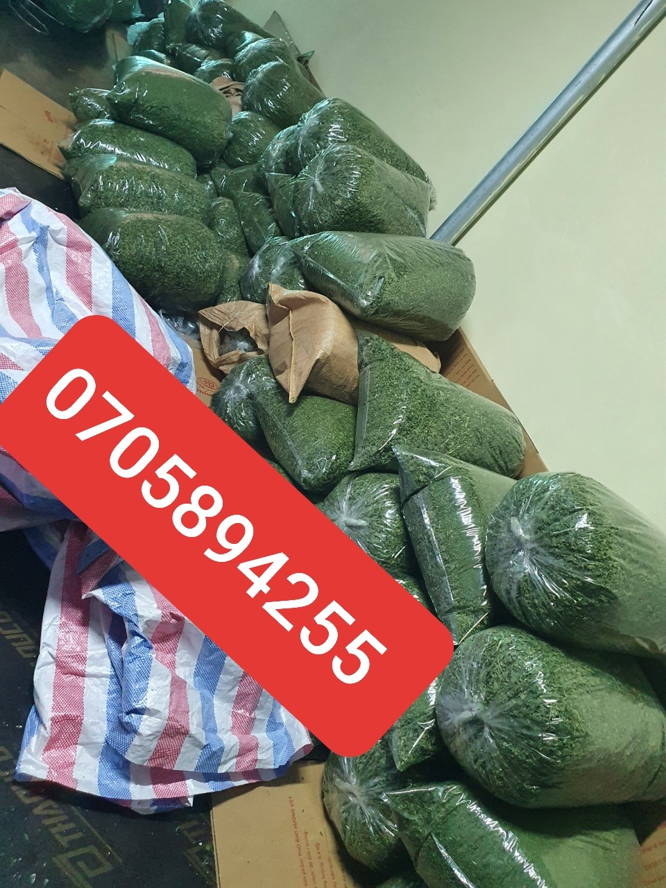 100gr bột cần tây sấy lạnh nguyên chất 100%