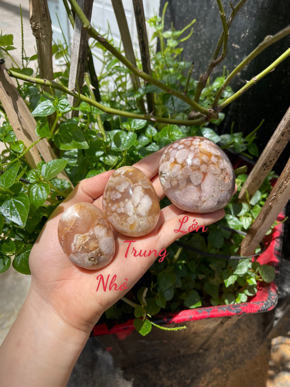 Palm Blossom Agate - Đá Mã Não Hoa Anh Đào | CADA DECOR