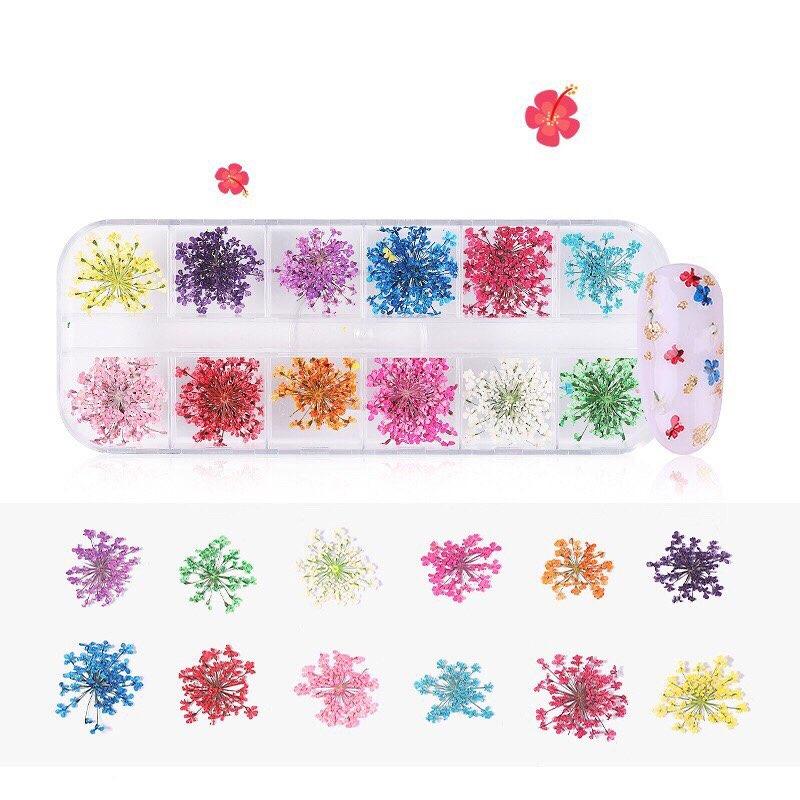 [ 9 MẪU ] HOA KHÔ ĐÍNH MẮT TRANG ĐIỂM KIRA GLITTER - HOẶC TRANG TRÍ MÓNG TAY NAIL