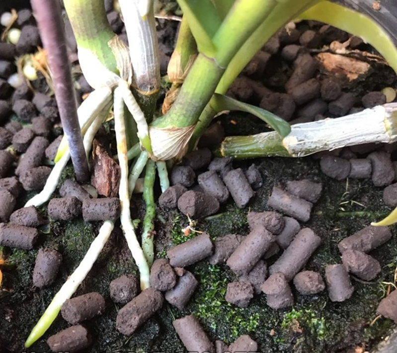 Phân trùn quế viên nén cao cấp bổ sung Trichoderma phân giải Xenlulo gói 1kg