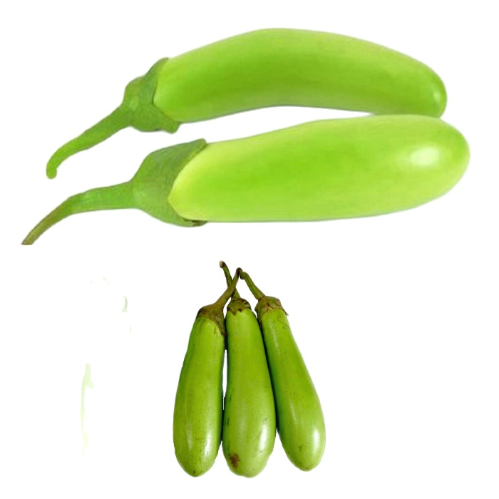 Hạt giống cà xanh mỡ năng suất cao gói 1gam giá rẻ