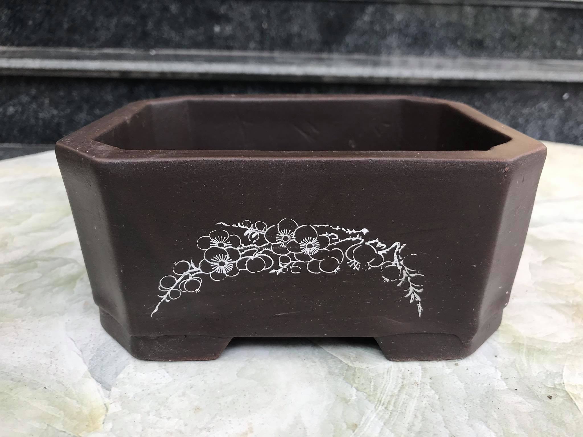 Ang (chậu) chữ nhật mini