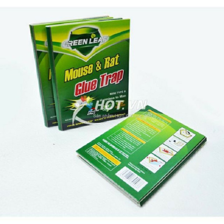 Keo Dính Chuột Mouse & Rat Glue Traps - Siêu Dính