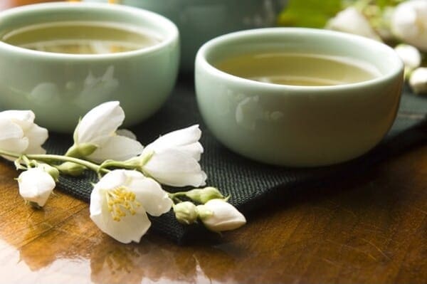 Trà lài tân nam bắc