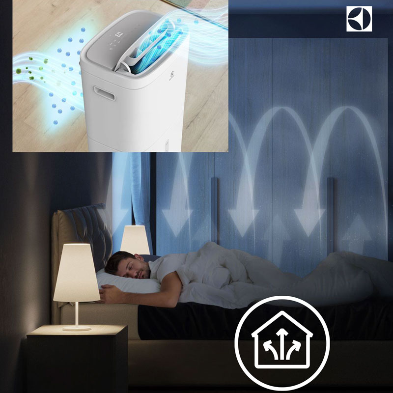 Máy hút ẩm điện tử 20L Electrolux EDH10TRW1