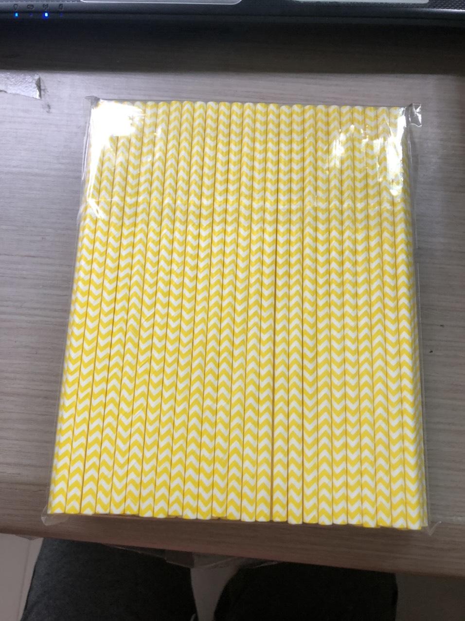 [HCM]Ống hút giấy phi 6 (100 ống/1 túi)