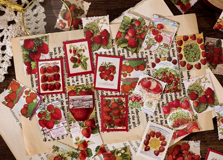 Bộ 46 Sticker Dâu Tây Siêu Đáng Yêu E129