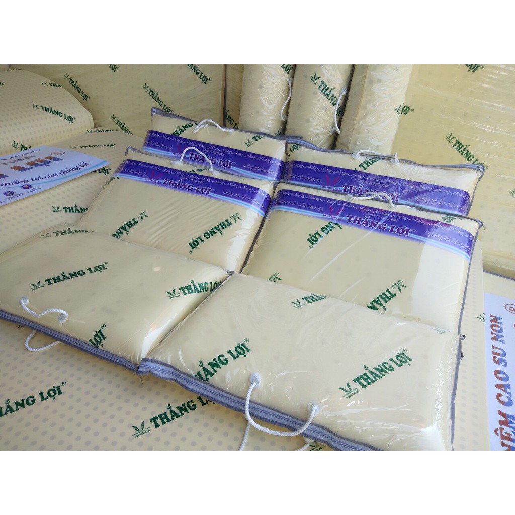 - gối nằm cao su non cứng mousse thắng lợi đủ size