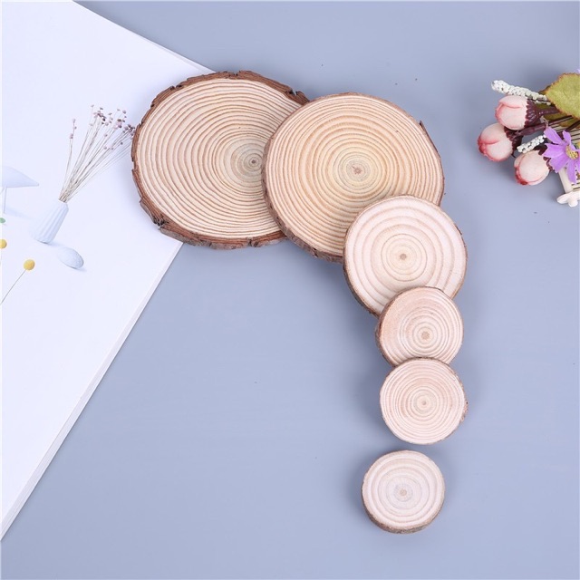 Miếng gỗ vân tròn phụ kiện chụp ảnh trang trí dùng làm đạo cụ chụp ảnh Beo Chan