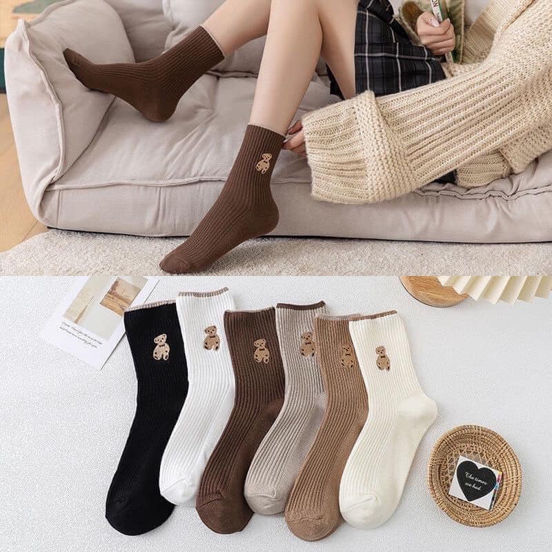 Combo 5 đôi tất gấu nâu xinh xắn cho nữ