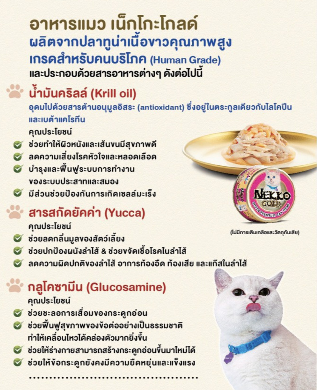 Thailand imported cat Pate Nekko gold