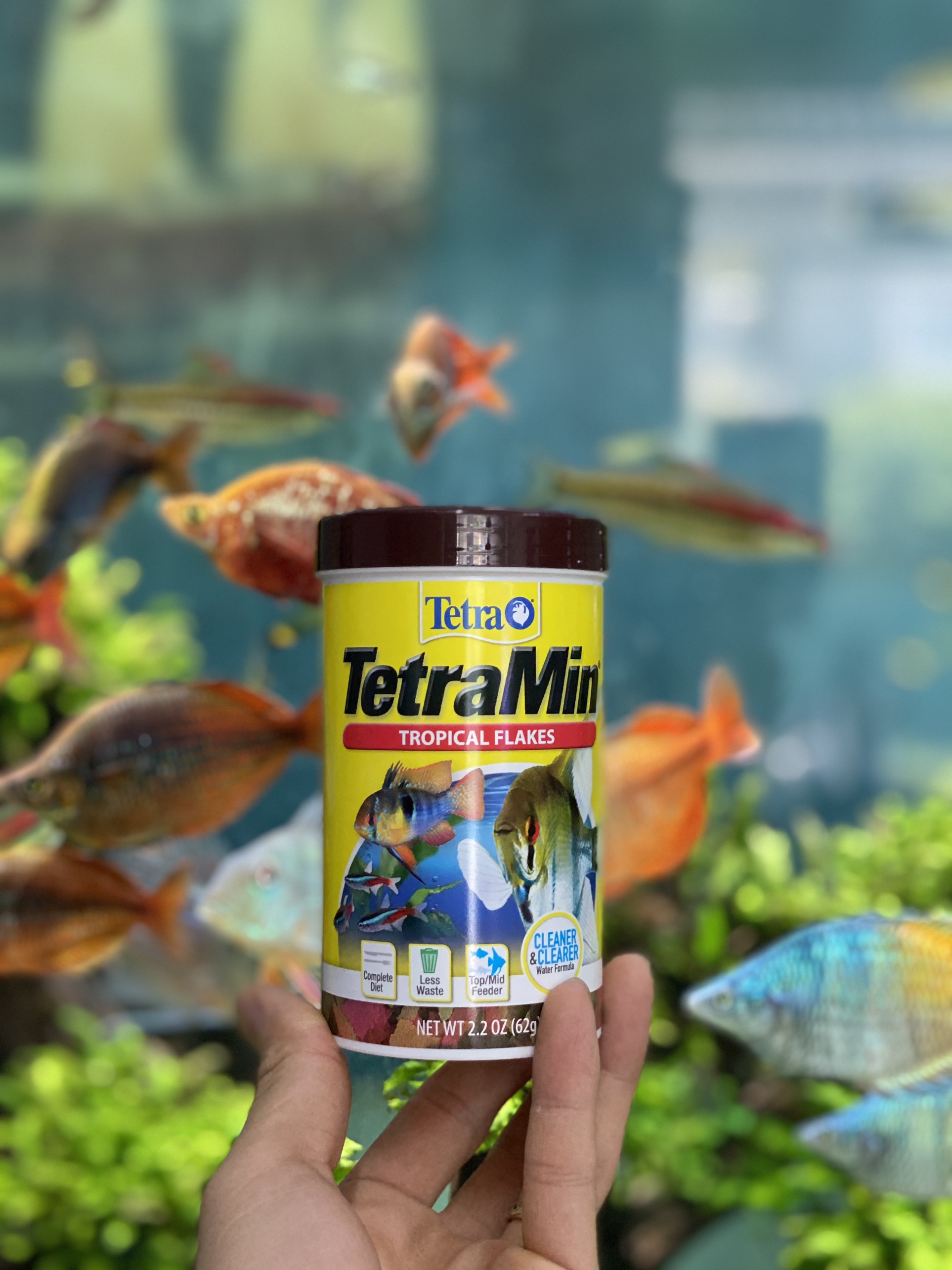 [HOÀN TIỀN 10%]THỨC ĂN CÁ CẢNH TETRA MIN (62G)