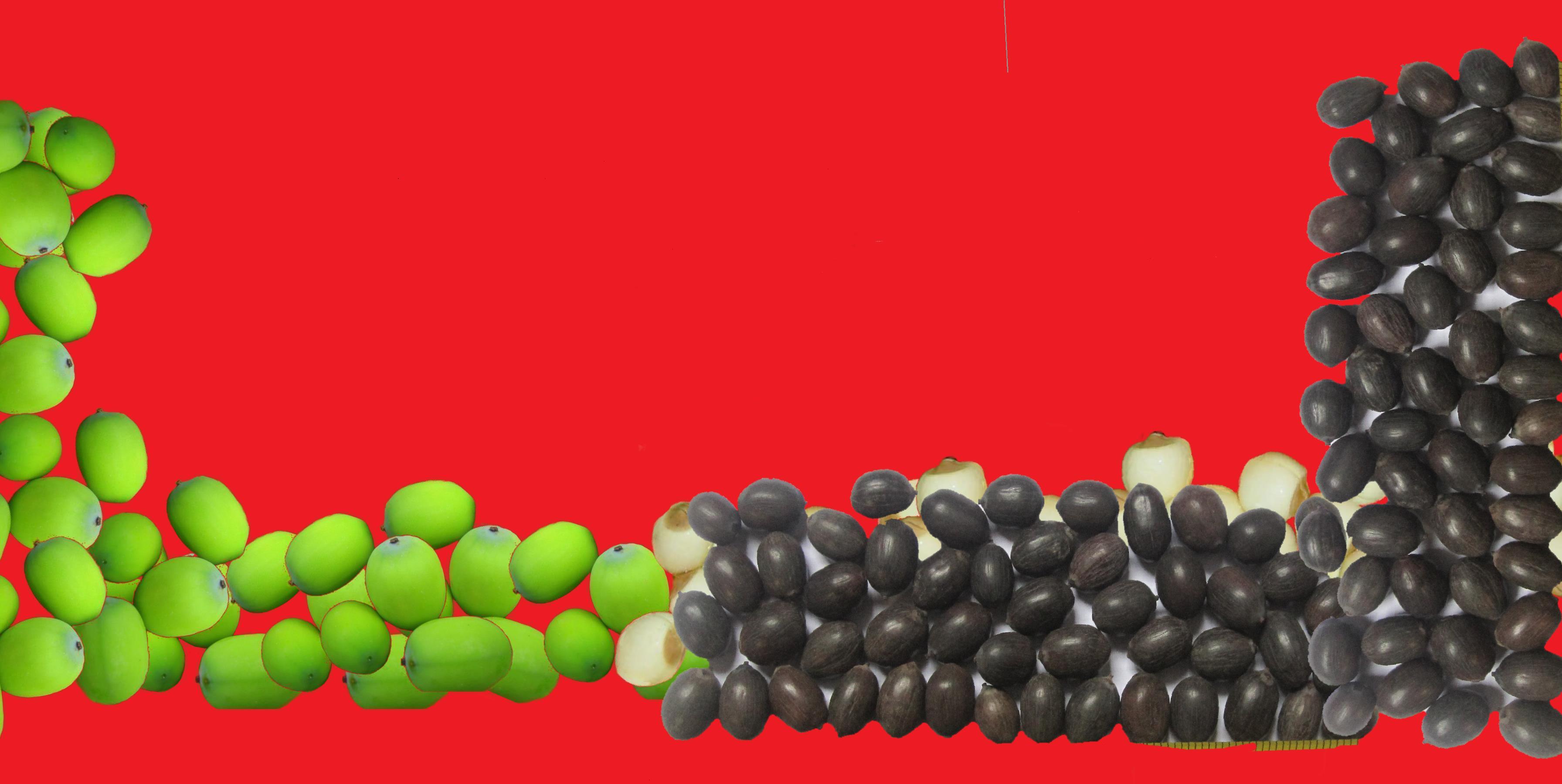 Hạt sen khô đồng tự nhiên, 500gr